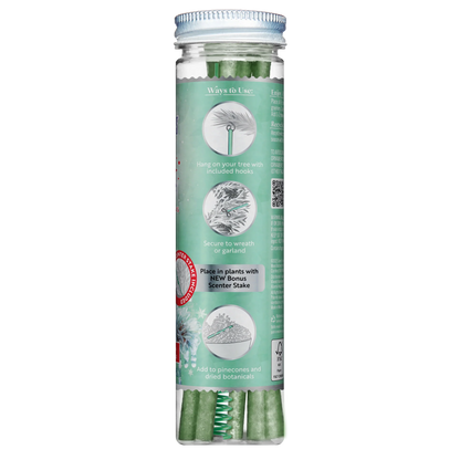 Scentscicles Scented Ornament Stick | Eucalyptus Oasis | 6CT Bottle