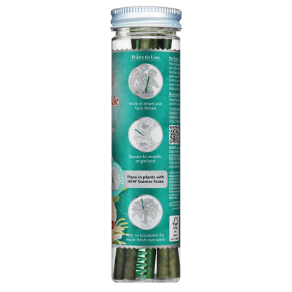 Scentscicles Scented Ornament Stick | Honeysuckle Rose|  6CT Bottle