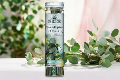 Scentscicles Scented Ornament Stick | Eucalyptus Oasis | 6CT Bottle