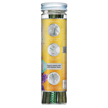 Scentscicles Scented Ornament Stick | Sun Soaked Lavender | 6CT Bottle