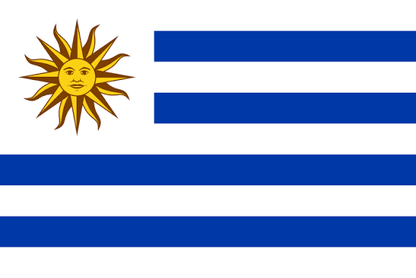 Bandera Peq. de los Paises