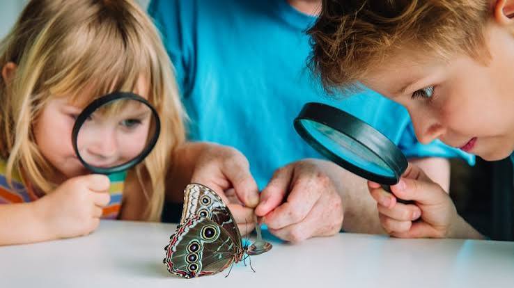 Primary Science Jumbo Magnifiers – imagen 4 - JA Riollano