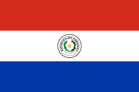 Bandera Peq. de los Paises
