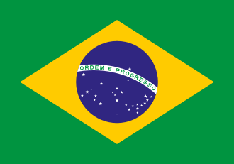 Bandera Peq. de los Paises