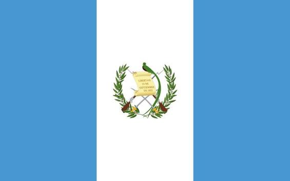 Bandera Peq. de los Paises