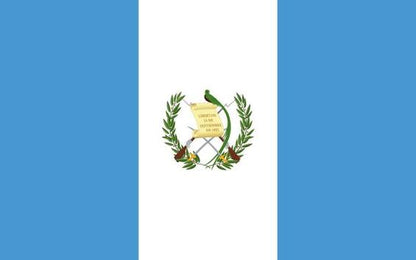 Bandera Peq. de los Paises