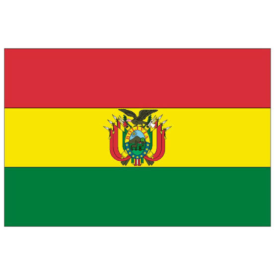 Bandera Peq. de los Paises