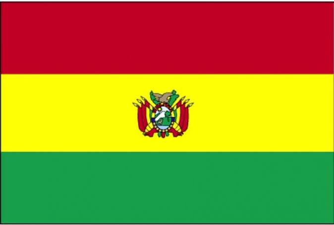 Bandera Peq. de los Paises