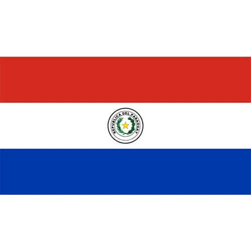 Bandera Peq. de los Paises