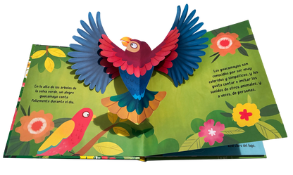 Aves |  Pop Ups en Movimiento