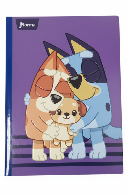 Bluey, Bingo and Plush